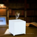 Difusor inalámbrico Aromacare del aroma de la caja de música de Bluetooth del refrigerador de agua de Aromacare